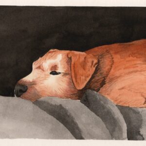 Ruhender Irish Terrier Welpe