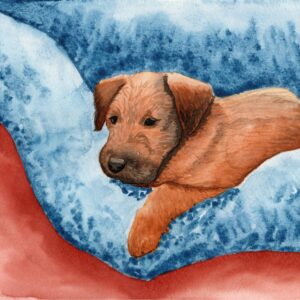 Irish Terrier Welpe im Korb